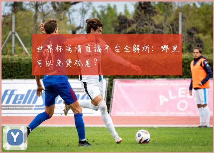 世界杯高清直播平台全解析：哪里可以免费观看？