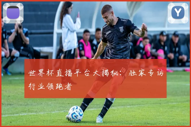 世界杯直播平台大揭秘：独家专访行业领跑者